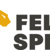 FelixSpin Casino